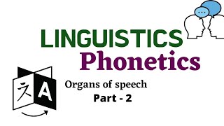 LINGUISTICS ORGANS OF SPEECH PART 2 [upl. by Einnad]