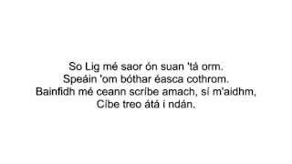 Wake Me Up as Gaeilge Lyrics  TG Lurgan vs Avicii [upl. by Nylemaj346]