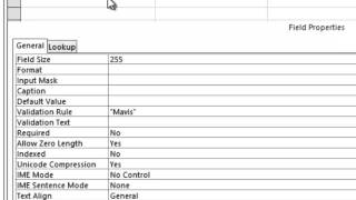 Lesson 08  Validation Text  Microsoft Office Access 2013  Sahalsoftware  Afsoomaali [upl. by Arretak]