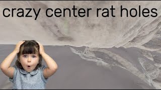 crazy center rat holes watch before there taken [upl. by Macur]