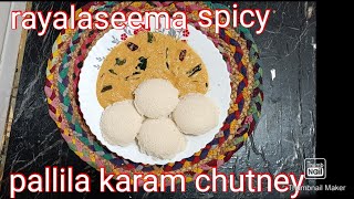 rayalaseema spicy palli chutney idli dosa palli karam chutney [upl. by Acimak607]