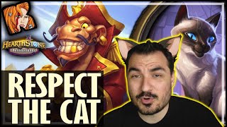 ALWAYS RESPECT THE CAT  Hearthstone Battlegrounds [upl. by Cirdek160]