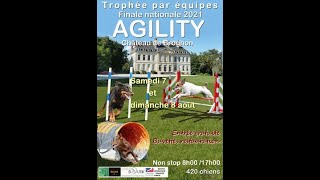 Grand Prix de France Agility 2024  Finale Standard SM [upl. by Mehsah339]