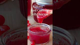 Easy Red Currant Jelly Expert Recipe Guide redcurrantjellyrecipe shorts [upl. by Renraw608]