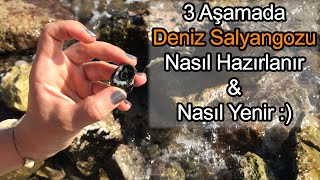 3 Aşamada Deniz Salyangozu Nasıl Yenir [upl. by Rasia]