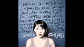 Virginia Moon  Foo Fighters featuring Norah Jones [upl. by Sjoberg]