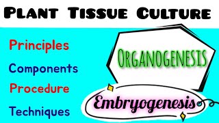 Plant Tissue Culture  Principle components  techniques  Embryogenesis  Organogenesis [upl. by Rhynd627]