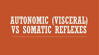 Reflexes Autonomic Visceral Reflexes vs Somatic Reflexes [upl. by Nosreme]