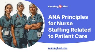 ANA Principles for Nurse Staffing Related to Patient Care  Essay Example [upl. by Heilman99]