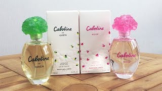 Gres Cabotine Perfume Spray 8211 Marys Mart [upl. by Laehcym]