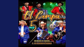 El Compa 5 En Vivo [upl. by Aelak]