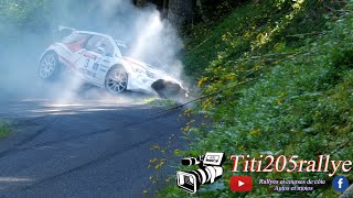 rallye du forez 2023 crash [upl. by Keener617]