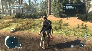 Hunting Guide Valley Forge  Beaver Hare Raccoon Elk  Assassins Creed 3 [upl. by Eon]