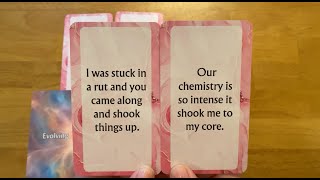 OUR CHEMISTRY IS SO INTENSE 🌸 IT SHOOK ME TO MY CORE 🌸 Channeled love Messages love tarot [upl. by Rosenwald]