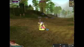 9Dragons classic BoT new healer nuke [upl. by Ellehsyt]