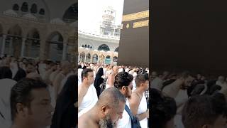 ওমরা হজ্জ করার নিয়ম Umrah Hajj Korar niom shorts youtubeshorts shortvideo arabiclanguage [upl. by Cohn259]