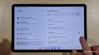 Samsung Galaxy Tab S8 How to enable the Developer Options for USB Debugging etc [upl. by Cowie]