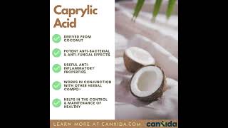 Caprylic Acid Benefits for Gut Health Candida and Immunity shorts [upl. by Ainer]