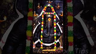 Pillayarpatti Bakthi Padal pillayar vinayagar ganapathi pillayarpatti ganapathisongs [upl. by Otiv733]