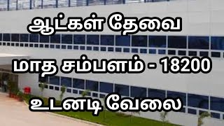 💥Salary  18200Chennai Job Vacancy 2024Chennai Jobs Today Openings In Tamil [upl. by Norha]