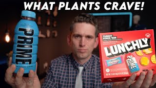 The Truth About Electrolytes PRIME and Lunchly  Doctor Explains [upl. by Bechler]