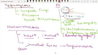 zygomycosisFUNGI [upl. by Judenberg]