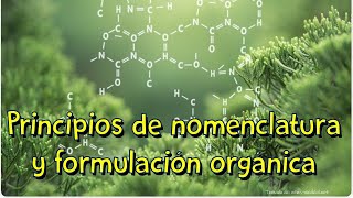 Nomenclatura y formulación orgánica [upl. by Onimod]