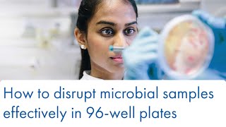 How to disrupt microbial samples effectively in 96well plates [upl. by Aleakim293]