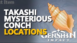 Takashi Mysterious Conch Genshin Impact [upl. by Ohcirej640]