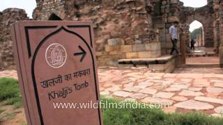 Tomb of Alauddin Khilji Qutab complex  photographers Eden [upl. by Ellinehc]