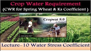 CropWAT 80 CWR of Spring Wheat amp Water Stress Coefficient 10 [upl. by Auguste954]