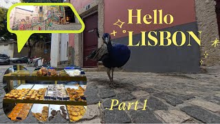 Experience the REAL Lisbon 2024 in 4K [upl. by Gnilrad]