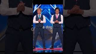 This is why you should NOT trust any ViralVideo magic audition comedy ai viralvideo zebra dog [upl. by Myrt]