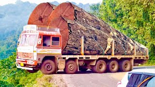 Extreme Fastest Skill Logging Climber Truck Fails Operator Dangerous Idiots Wood Cutting Machines [upl. by Hervey]