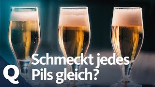 BierExperiment Schmeckt jedes Pils gleich  Quarks [upl. by Sezen]