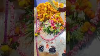 matavaishnodevishrineboard chamunda bhajan navratri vrindavan radheradhe like subscribe [upl. by Onstad]