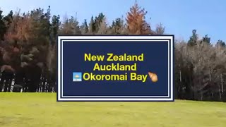 【新西兰紐西兰  奥克兰 New Zealand Auckland】Okoromai Bay 海边挖鸟蛤 🐚🏖   Elaines Travel Vlog 2 [upl. by Lilah]