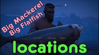 Big flatfish Big mackerel locations in Assassins Creed Valhalla [upl. by Reyaht793]