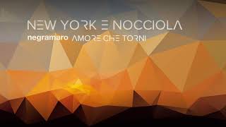 negramaro  New York e nocciola Audio ufficiale [upl. by Carrick17]