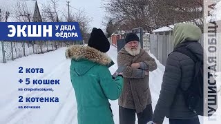 ЭКШН У ДЕДА ФЁДОРА  2 кота  5 кошек на стерилизацию 2 котенка на лечение [upl. by Dzoba]