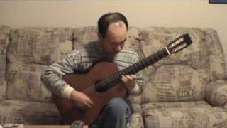 John Williams Schindlers List Arr for Guitar by Domenico Terribelli [upl. by Anderegg588]