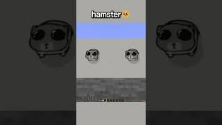 hamster  Can you subscribe just once please🥹🥹 [upl. by Llerat]