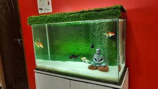 Goldfish Kingdom Aquarium Setup  Oranda and Ranchu Goldfish tank with Green Grass Background [upl. by Nitsruk]