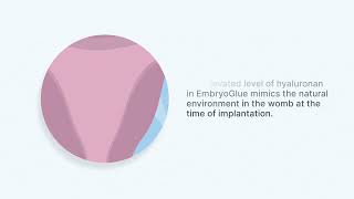 EmbryoGlue  Helping your embryos to implant [upl. by Uttica]