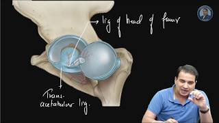 Hip Joint Ligaments  Anatomy Video NEET PG AIIMS [upl. by Nairim]