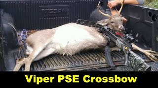 Viper PSE crossbow deer kill [upl. by Mide]