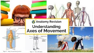 What is Axes of Movement [upl. by Cherrita]