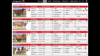 Swissgenetics Auswahl Stiere sortieren [upl. by Ming]