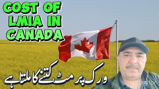 Cost of LMIA or Work Permit in Canada🇨🇦💵lmia workpermitvisa [upl. by Zetrok254]