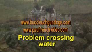 Complete Springer Spaniel Training Series  Film 3 [upl. by Macdougall]